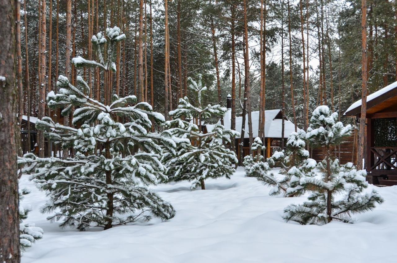 Sobi Hotel Вышгород Экстерьер фото